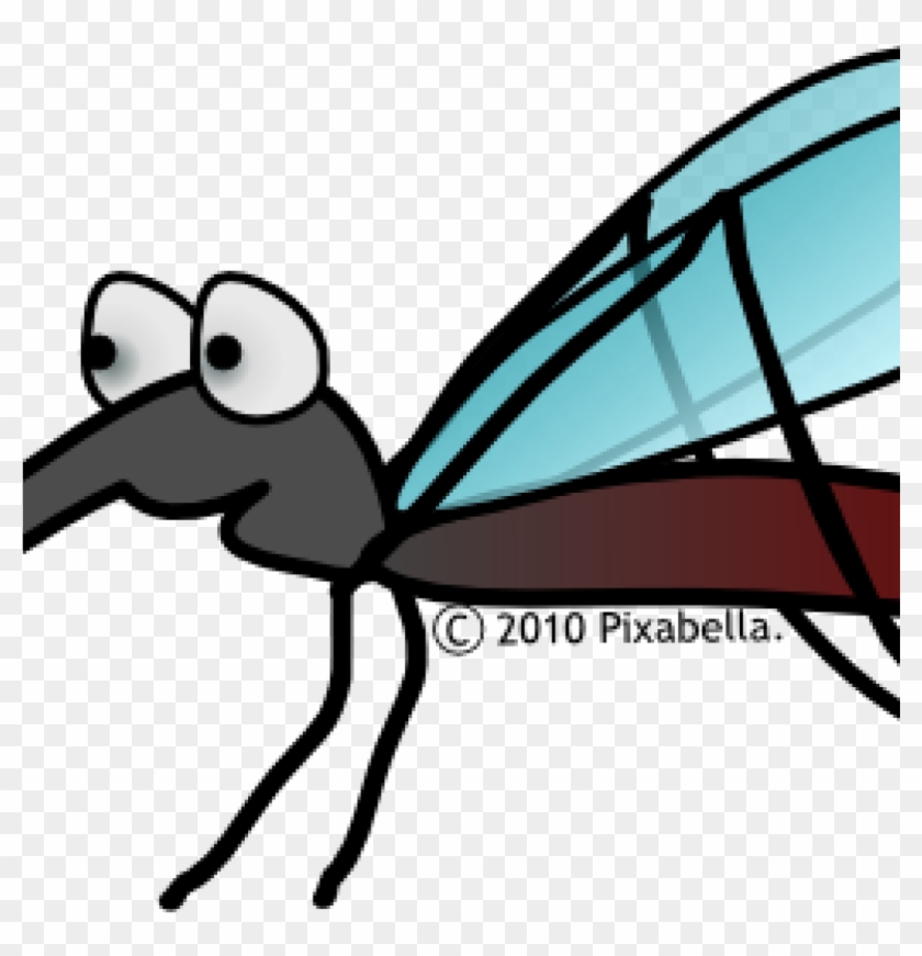 1024 X 1024 3 - Mosquitoes Clip Art Png Transparent Png #2853362