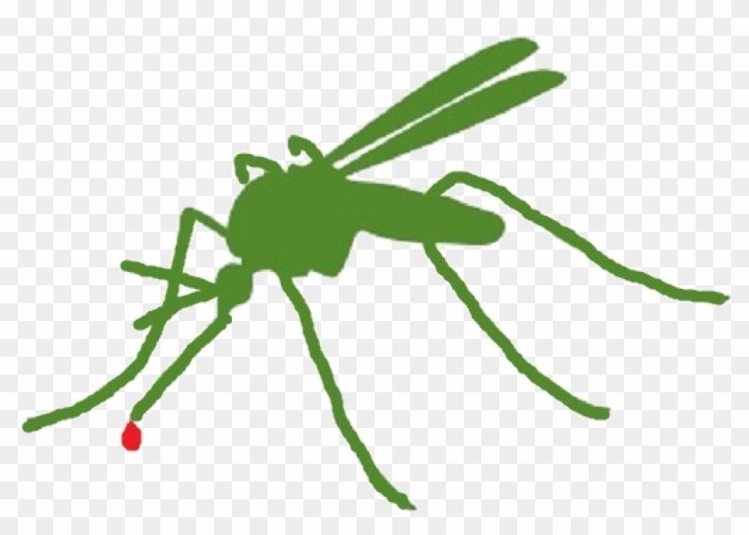Mosquito Clipart Mosquito Control - Insect - Png Download #2853768