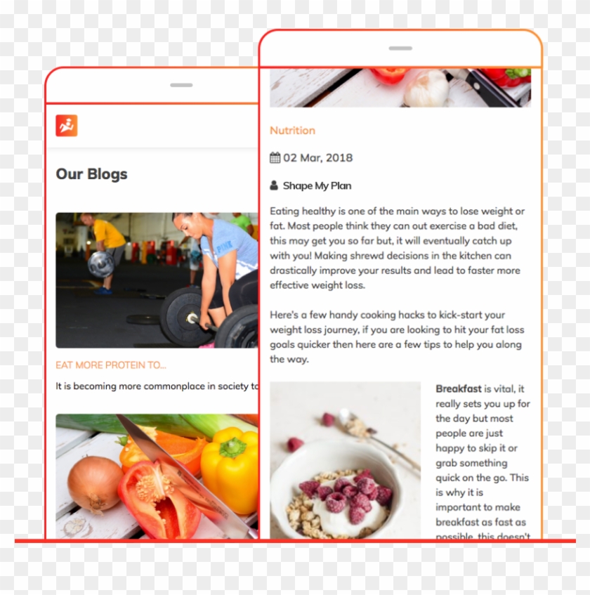 Support - Natural Foods Clipart