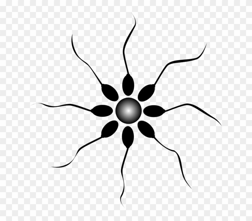 One Of The Ingredients In Semen Is A Product Called - Shukra Kanam In English Clipart #2855142
