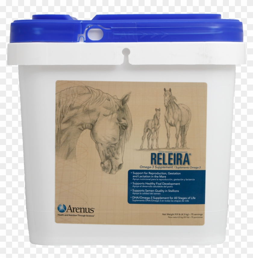 Image - Stallion Clipart