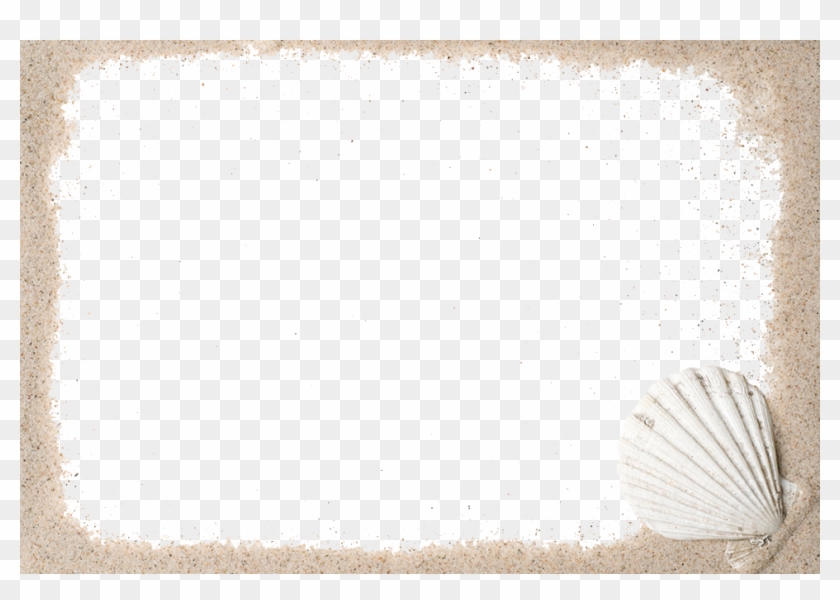 Shell Clipart #2856351