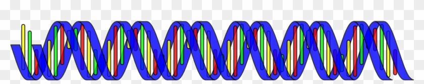 Dna Double Helix Science Rna Png Image - Dna Molecule Dna Svg Clipart