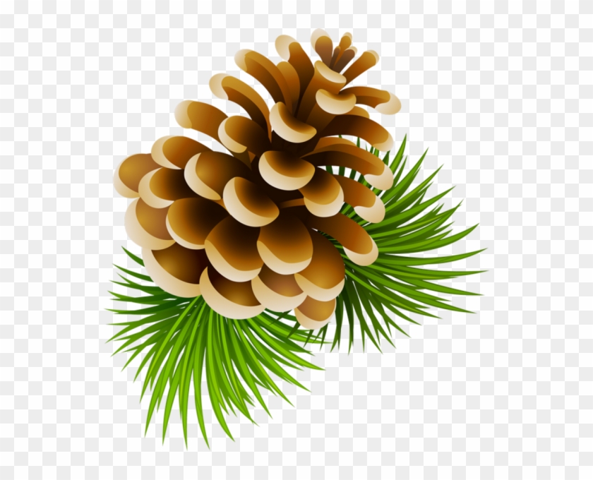 Pine Cone Clipart - Png Download