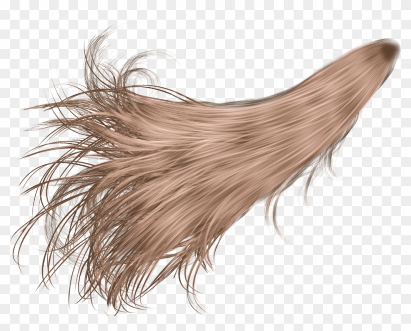 White Hair Png , Png Download - Hair In Wind Png Clipart