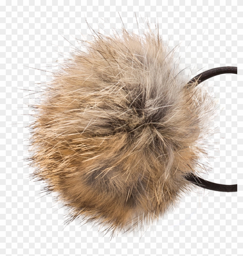 Vava Hair Tie Beige - Insect Clipart #2858831