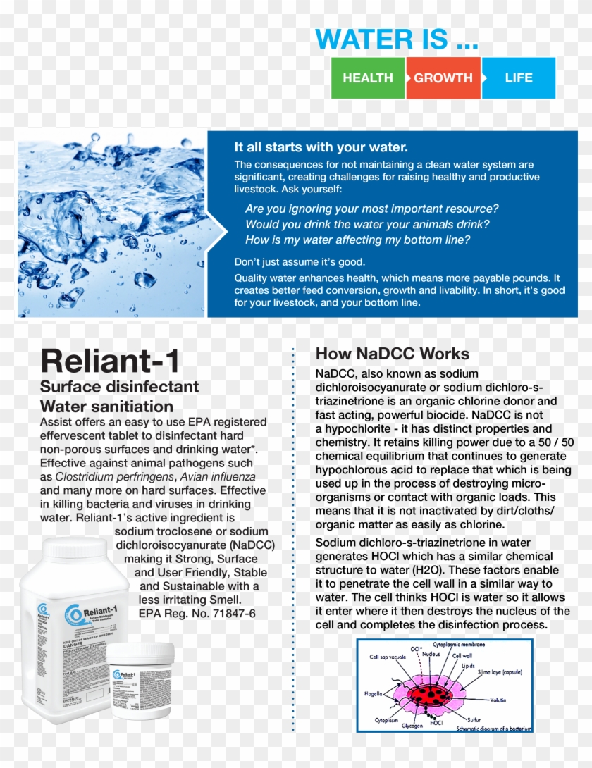 Lusana Studio New Tds Meter Digital Lcd Tester Water - Brochure Clipart #2860307