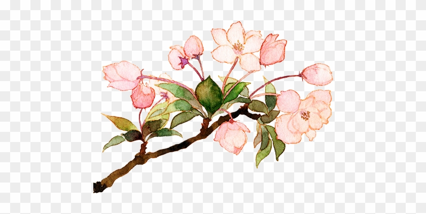 98 Aesthetic Flower Png Aesthetic Rose Png Free Transparent - Flower Overlays Transparent Clipart