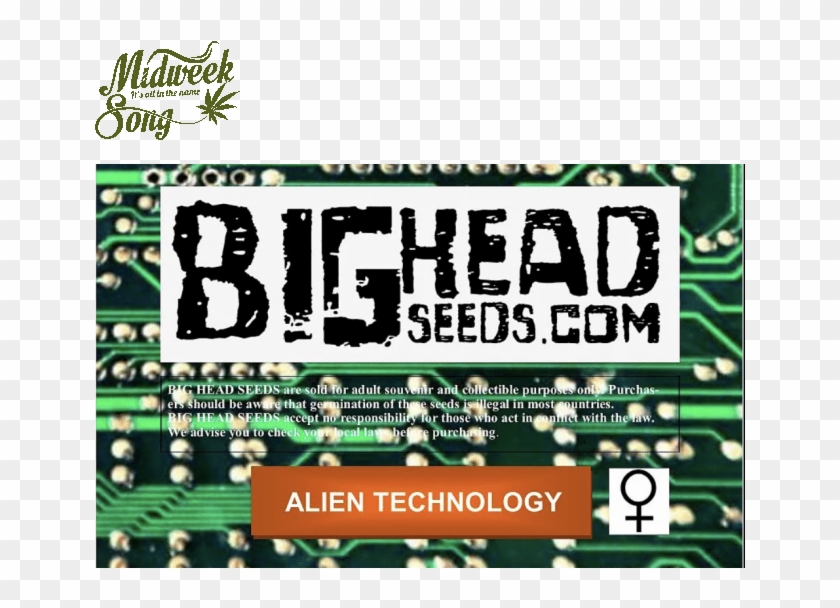 Big Head Seeds Alien Technology Cannabis Seeds - Microcontroller Clipart #2862085