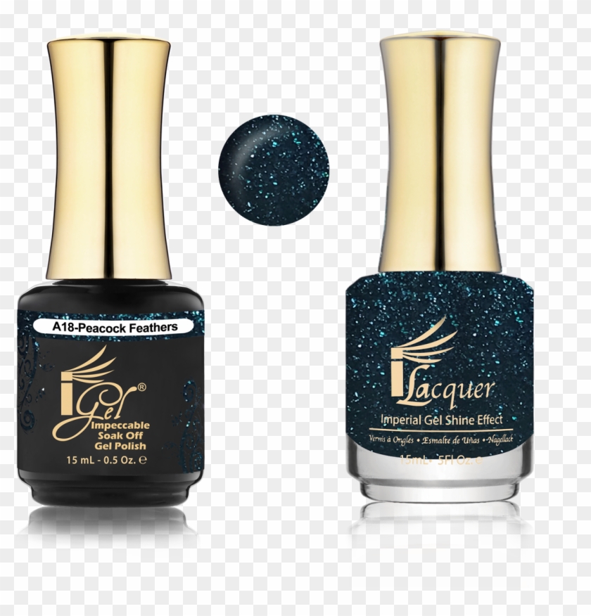 Igel Match - A Collection - Clipart