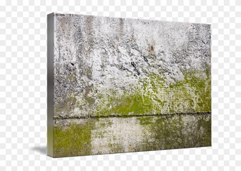 Abstract Close Up Photograph - Grass Clipart #2863744