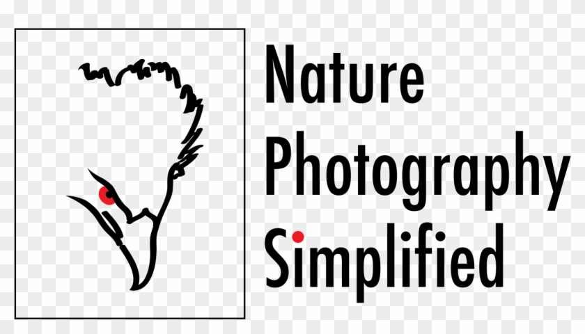 The Rule Of Thirds - Dt Photography Clipart