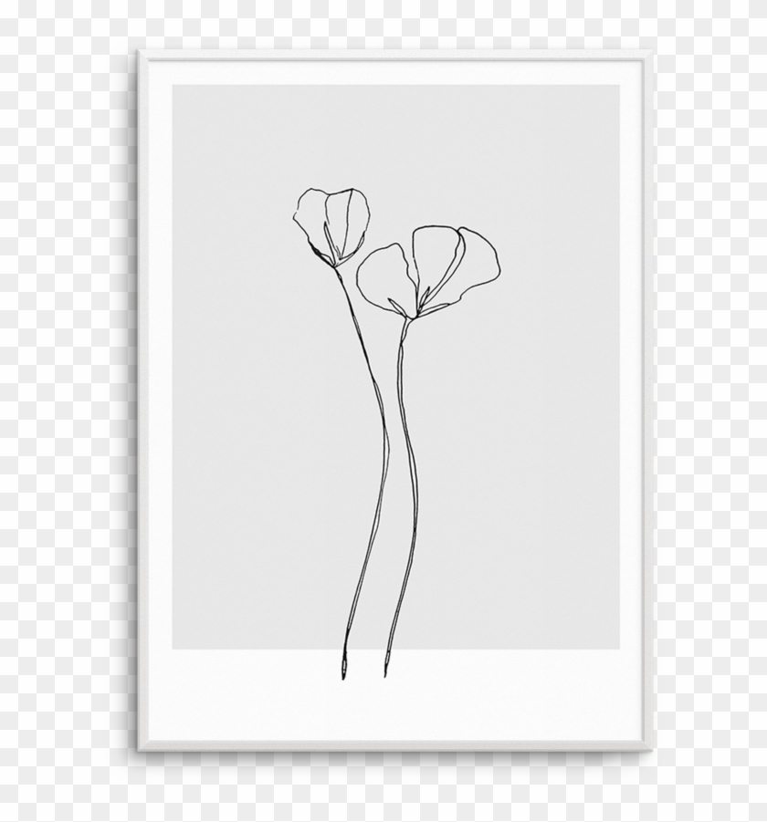 Poppy Grey Illustration Buy - Paper Clipart #2866069