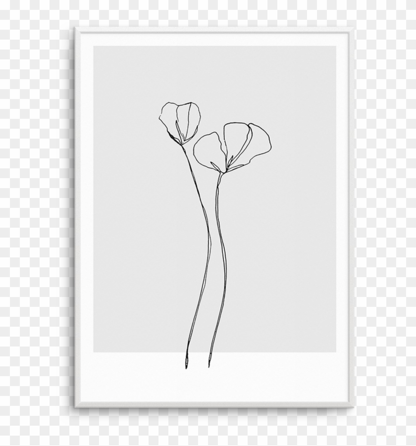 Poppy Grey Illustration Buy - Paper Clipart