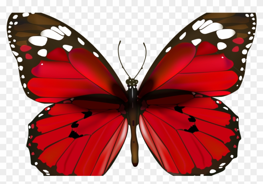 Happy New Year Butterfly Clipart #2866238