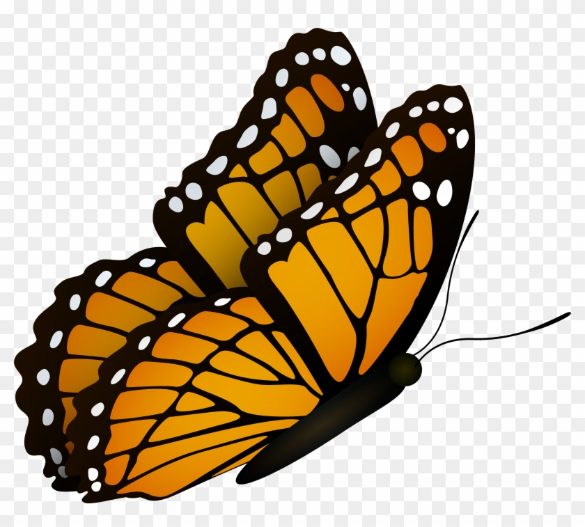 Flying Butterfly Clipart Image - Png Download #2866303