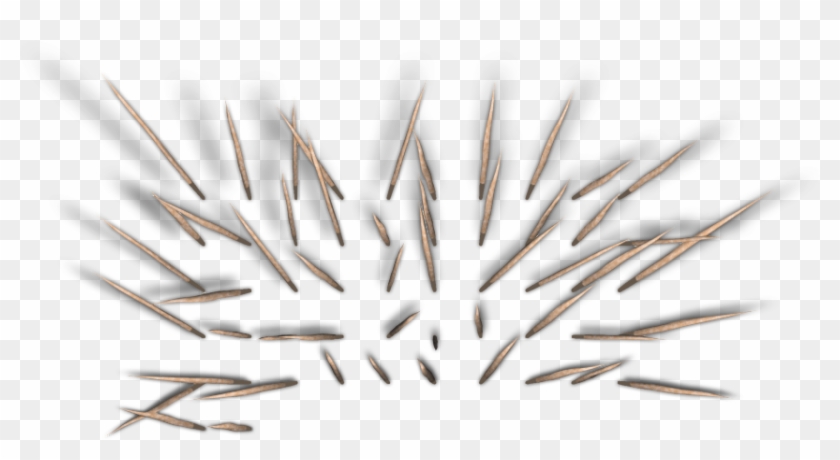 30 227k Spikebarrier1 Dgw C 06 Feb 2009 - Close-up Clipart #2866582