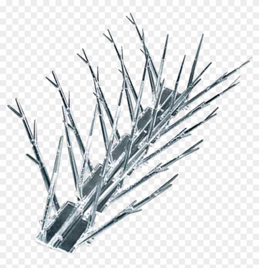 Plastic-spikes - Pond Pine Clipart #2866651
