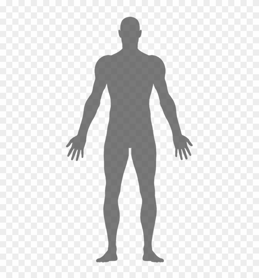 Our Bodies - Women Body Clipart Silhouette - Png Download #2867130