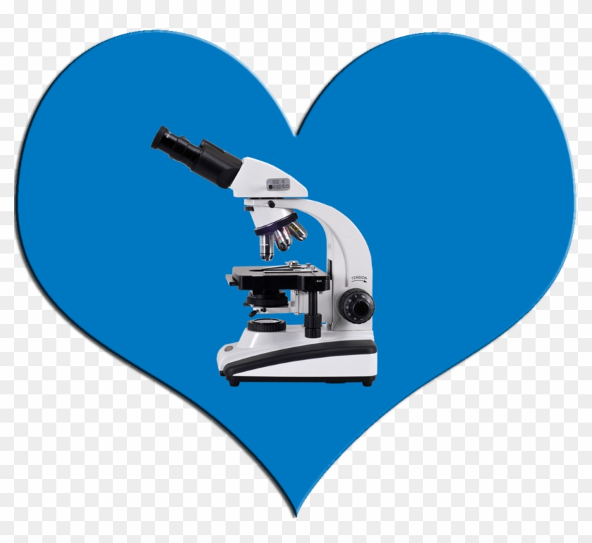 Microscope Clipart Responsible Girl - Microscope - Png Download