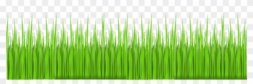 Grass Green Lawn Garden Nature Png Image - Pasto Vector Png Clipart
