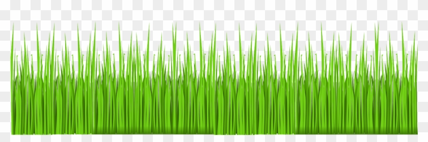 Grass Green Lawn Garden Nature Png Image - Pasto Vector Png Clipart #2868157
