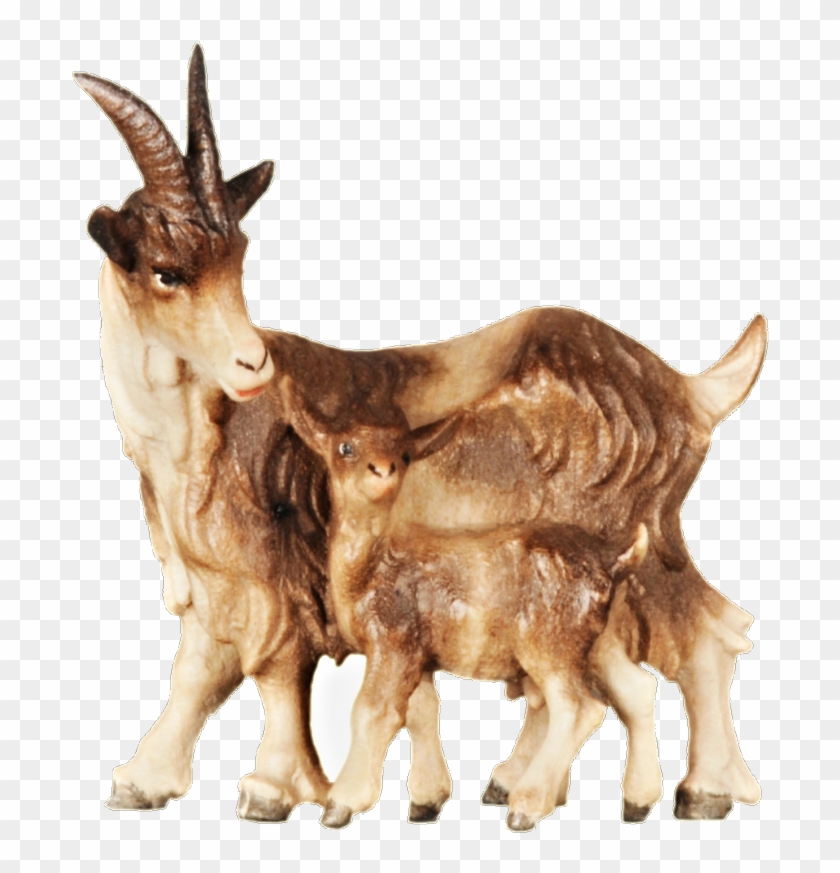With Standing Ornatis - Goat Clipart