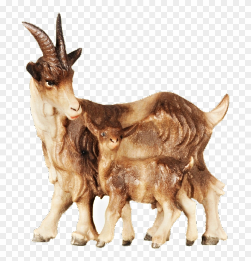 With Standing Ornatis - Goat Clipart #2868327