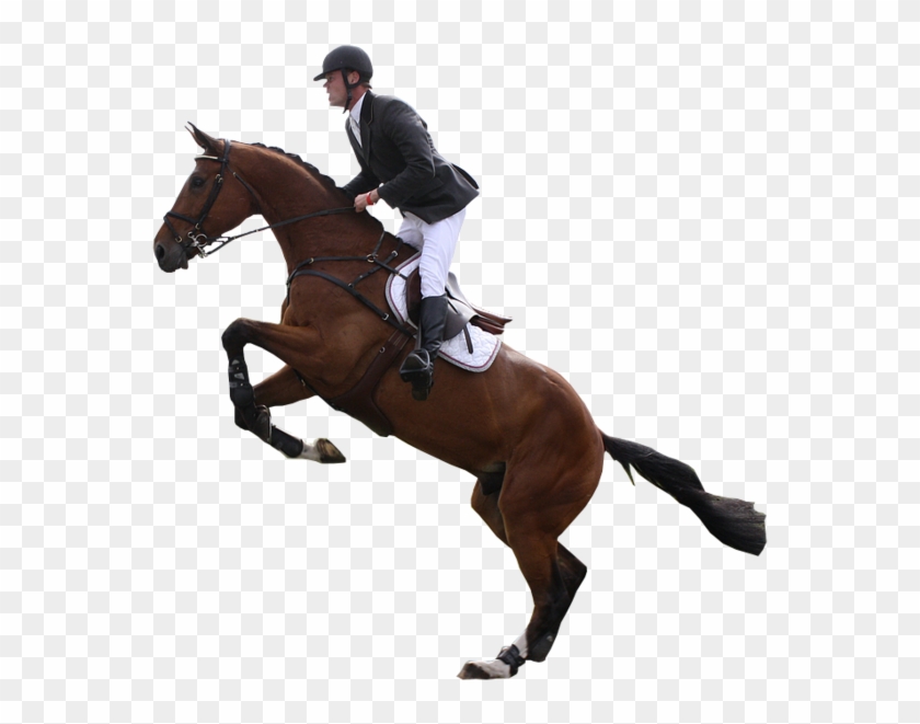 Download Hd Jumping Horse - Horse Jumping Transparent Clipart #2870856