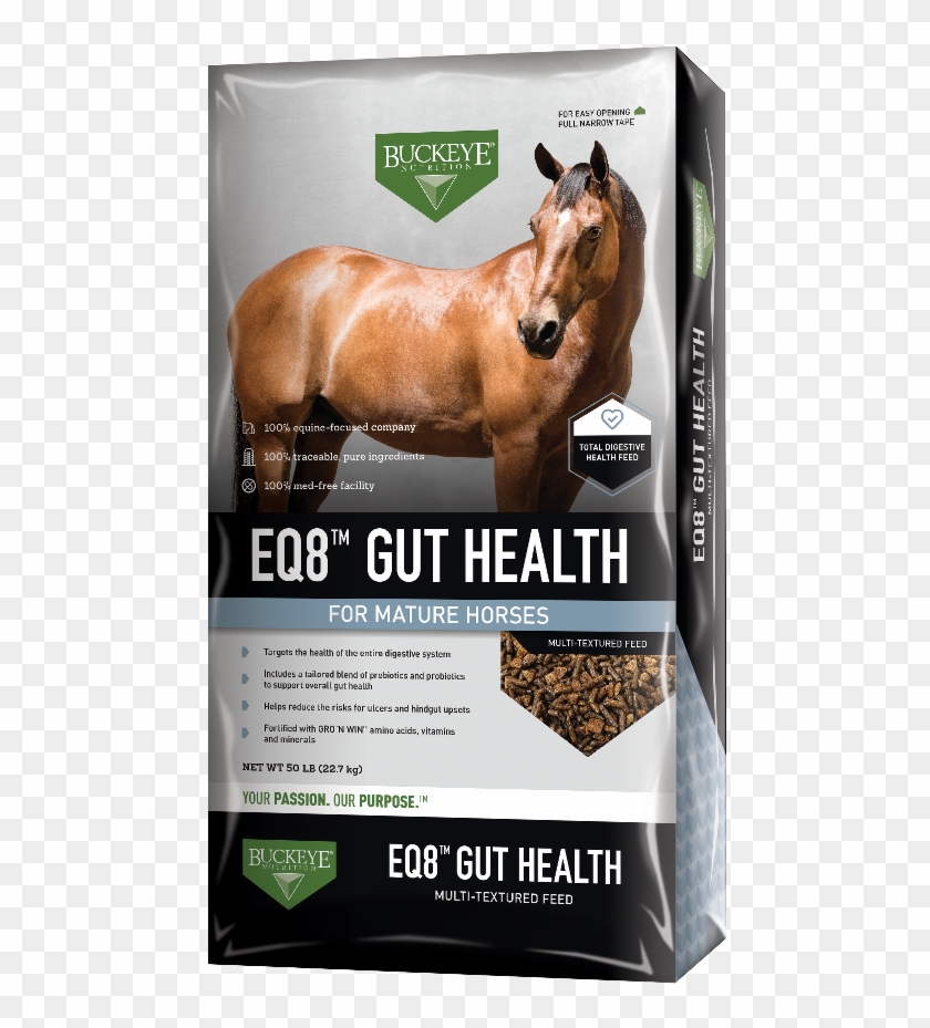 Eq8™ Gut Health Multi-textured Feed - Canadian Mens Health Foundation Clipart #2870917