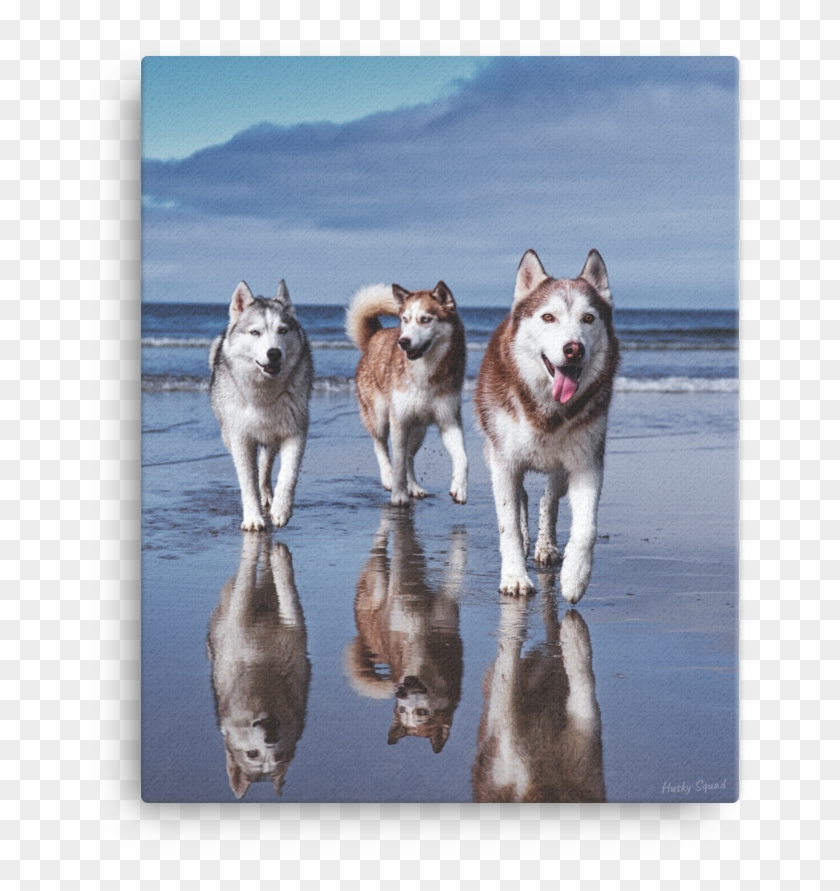 Life's A Beach - Mackenzie River Husky Clipart #2871814