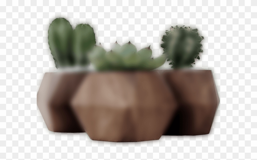 Dark Slider 3 Plant - Hedgehog Cactus Clipart
