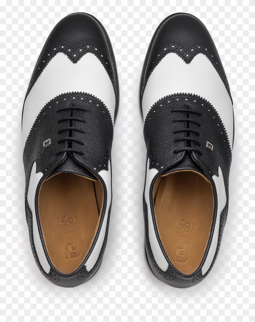 Shield Tip - Leather Clipart