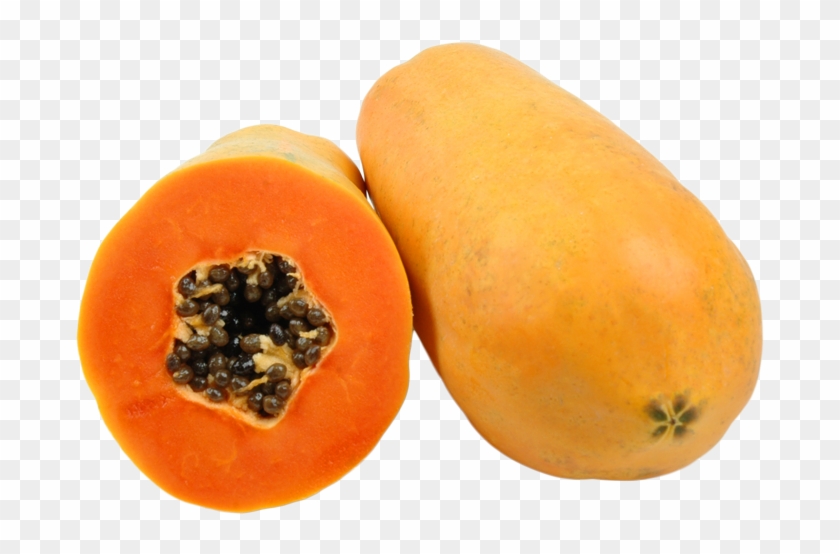 <b>holland Papaya</b> - Winter Squash Clipart