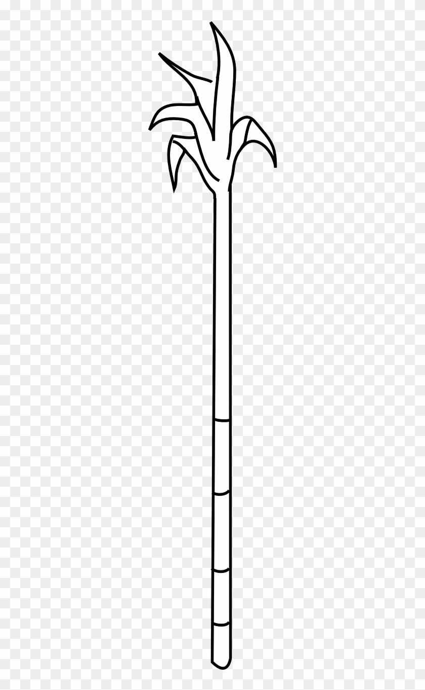 Sugarcane Cane Sugar Crop Png Image - Out Line Image Of Sugarcane Clipart