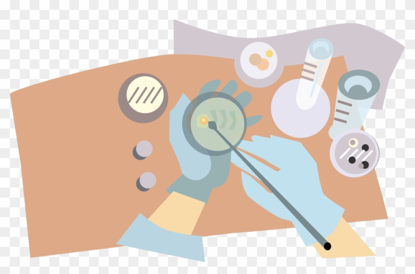 Drugs Clipart Design - Agar Plate Clipart - Png Download