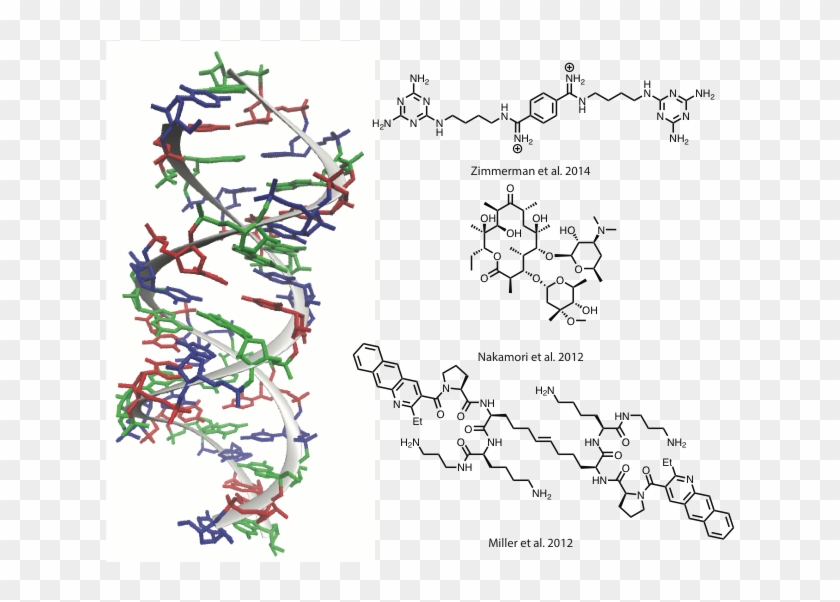 Small Molecule Drugs For The Treatment Of Myotonic - Darkness Clipart