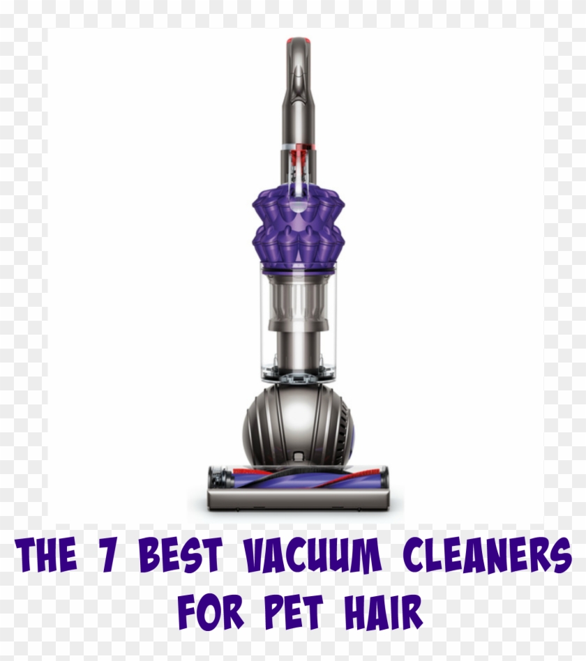 The 7 Best Vacuum Cleaners For Sucking Up Pet Hair - Dyson Dc50 Clipart