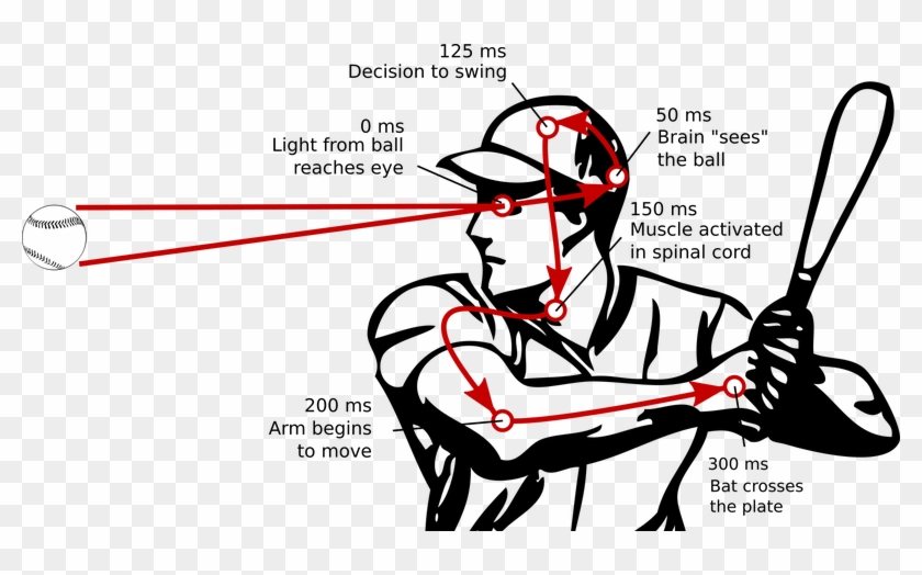 Reaction Time Png - Reaction Time Sport Clipart Transparent Png #2875031