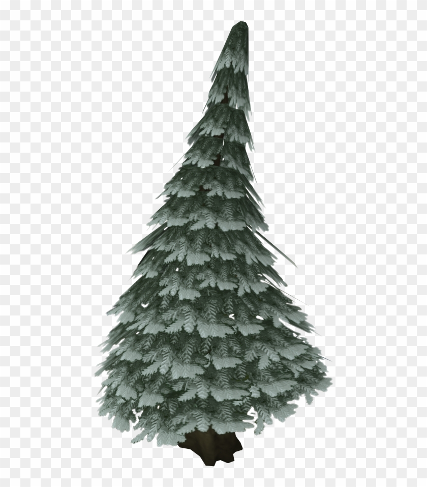 Pine Trees In The Arctic Clipart