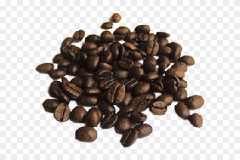 Coffee Beans Png Free Download - Quality Of Coffee Clipart #2875727