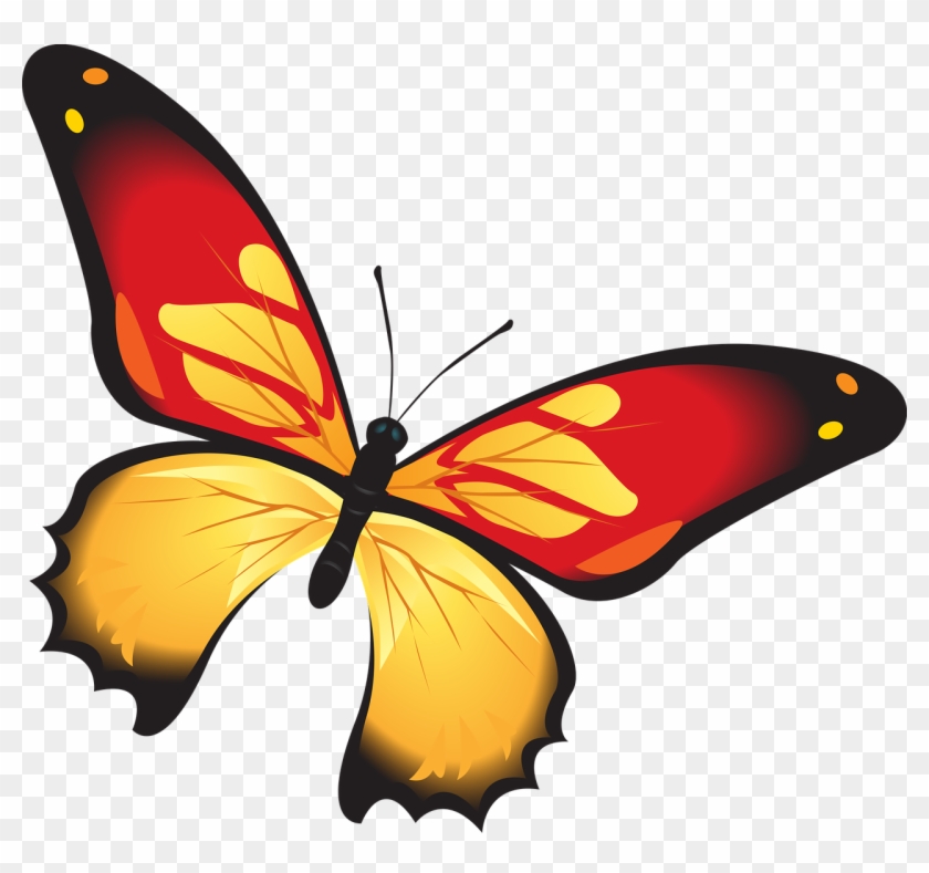 Butterfly Colorful Red - Portable Network Graphics Clipart
