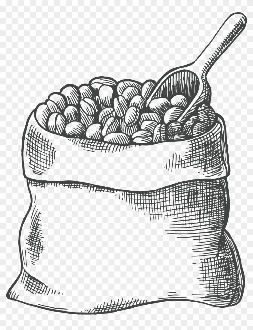 Coffee Bean Drawing Png Clipart