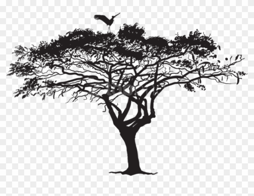 Free Png Exotic Tree And Bird Silhouette Png - Exotic Tree Silhouette Png Clipart #2875946