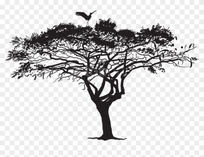 Free Png Exotic Tree And Bird Silhouette Png - Exotic Tree Silhouette Png Clipart