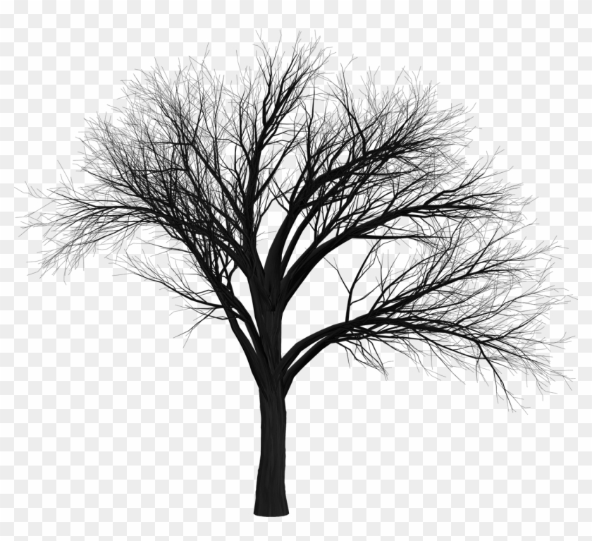 Tree Branch Empty - Scary Tree Png Clipart #2876056