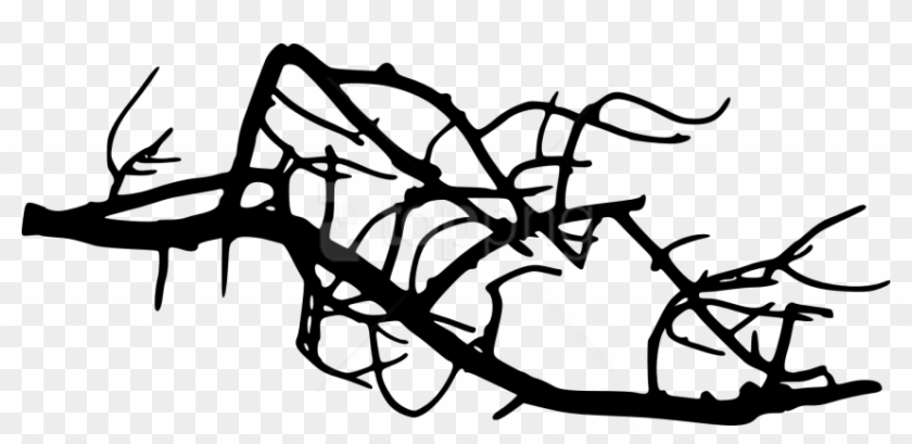 Free Png Tree Branch Png Images Transparent Clipart #2876084
