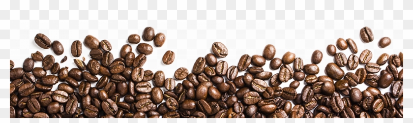 Clip Royalty Free Bean Png Image Black And White - Transparent Background Coffee Beans Png