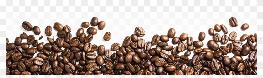 Clip Royalty Free Bean Png Image Black And White - Transparent Background Coffee Beans Png #2876425