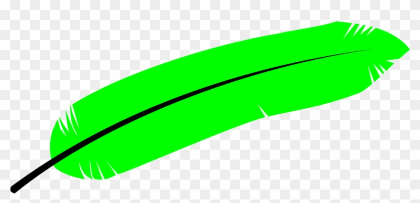 Bird Wings Free Vector Graphic On Pixabay - Green Feather Clipart - Png Download #2876568